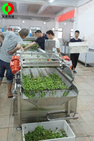 客戶親臨我司實(shí)地考察工廠及蔬果切割清洗生產(chǎn)線設(shè)備！