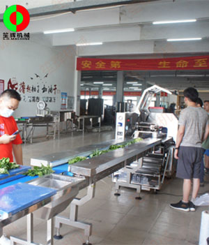 枕式蔬果包裝生產(chǎn)線,客戶現(xiàn)場(chǎng)測(cè)試驗(yàn)收！