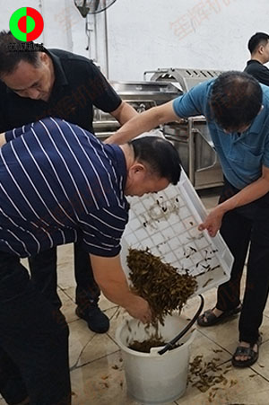 客戶(hù)來(lái)廠(chǎng)測(cè)試驗(yàn)貨果蔬清洗加工設(shè)備！